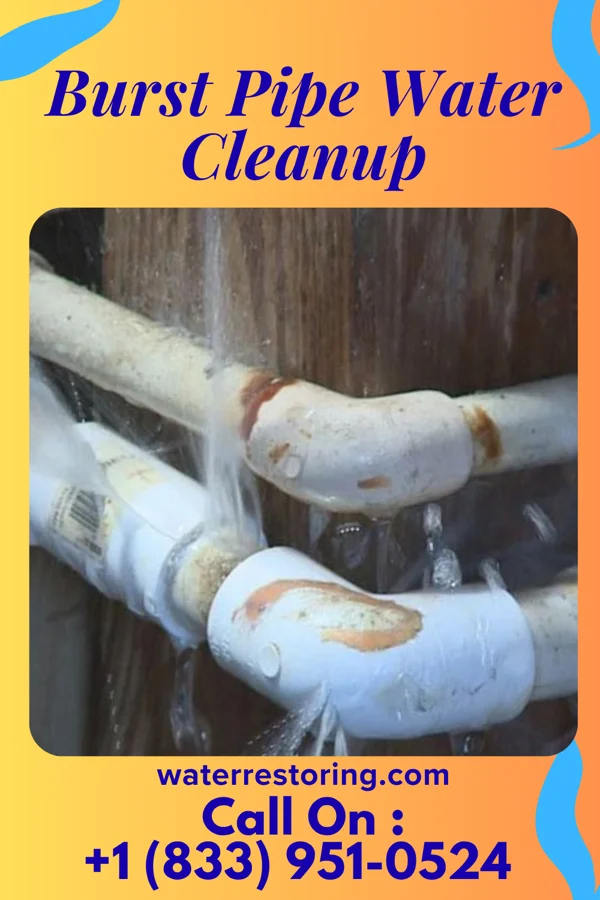 Burst Pipe Water Cleanup in Penn, PA