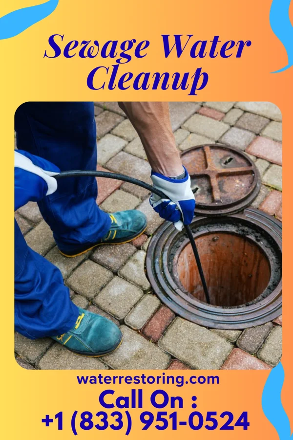Sewage Water Cleanup in Penn, PA